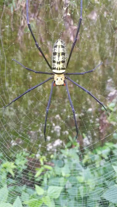 手拍世界作品集402期,手拍世界完整版视频