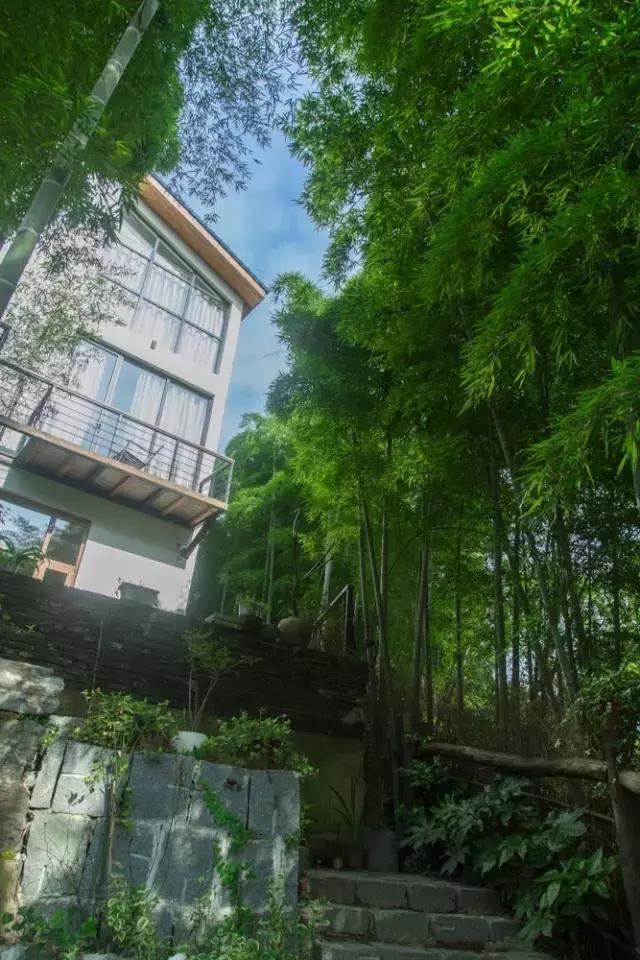 莫干山风之庭院山野民宿,莫干山竹林野趣民宿