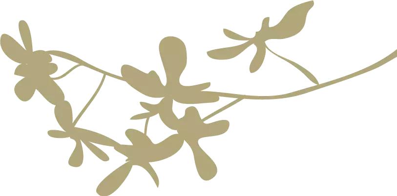 描写月亮最唯美经典的古诗词汇总,月是故乡明关于月亮的古诗词