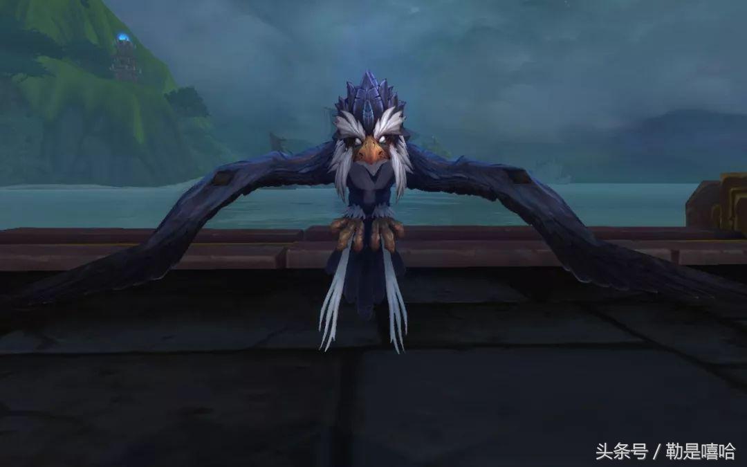 魔兽世界各种稀有宠物排名,魔兽世界稀有宠物排行榜