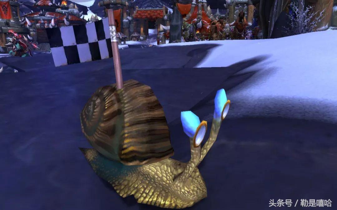 魔兽世界各种稀有宠物排名,魔兽世界稀有宠物排行榜