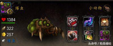 魔兽世界各种稀有宠物排名,魔兽世界稀有宠物排行榜