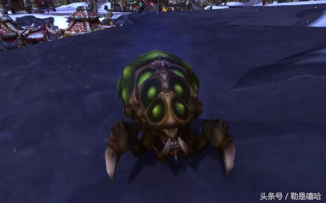 魔兽世界各种稀有宠物排名,魔兽世界稀有宠物排行榜