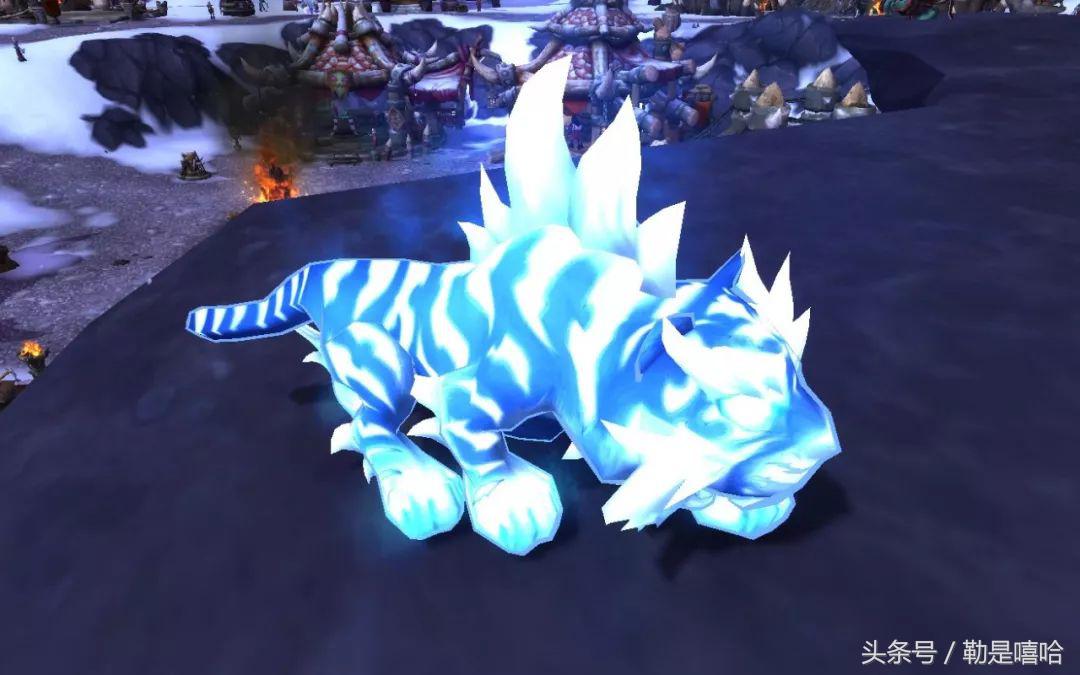 魔兽世界各种稀有宠物排名,魔兽世界稀有宠物排行榜