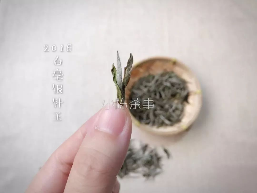 白茶受潮,白茶受潮了怎么办