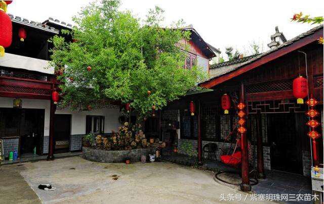 宏村古镇旅游攻略住宿,宏村婺源景德镇旅游攻略