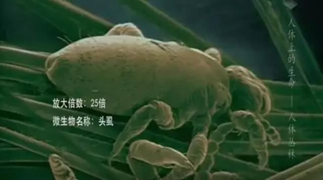 你身体里住着几个人格,你身体里住着谁