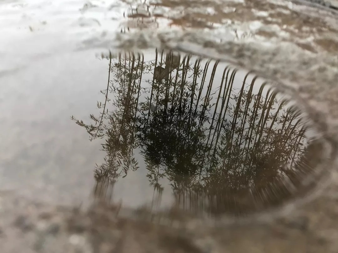 国庆假期住哪儿？水灵妹为你精心奉上都江堰这10家紧临景区的民宿酒店！让你坐拥青山绿水，感受品质生活