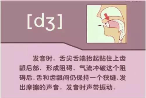 如何正确学习48个英语音标发音,英语音标速成48个简单实用易学