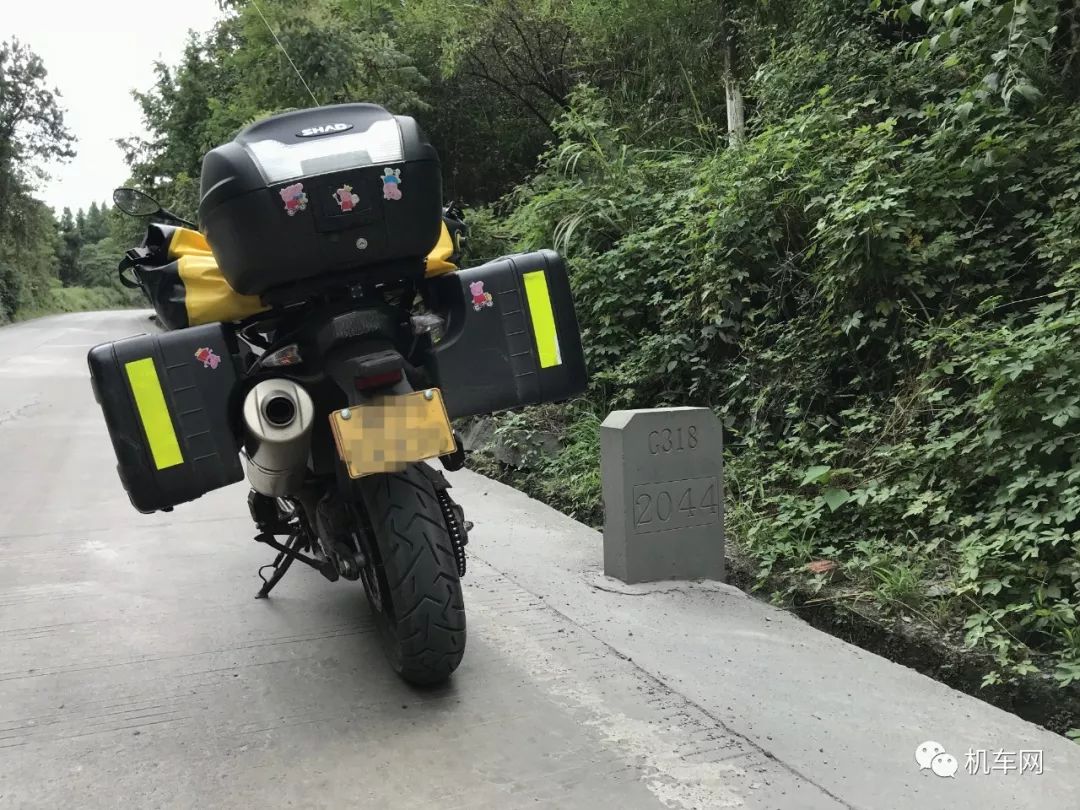 被鬼火少年撞到车谁全责,鬼火少年被车撞了视频