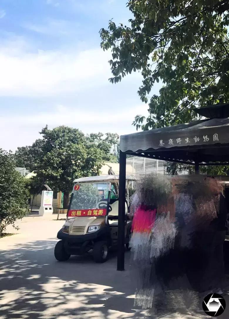 秦岭野生动物园真实攻略,秦岭野生动物园两大两小攻略