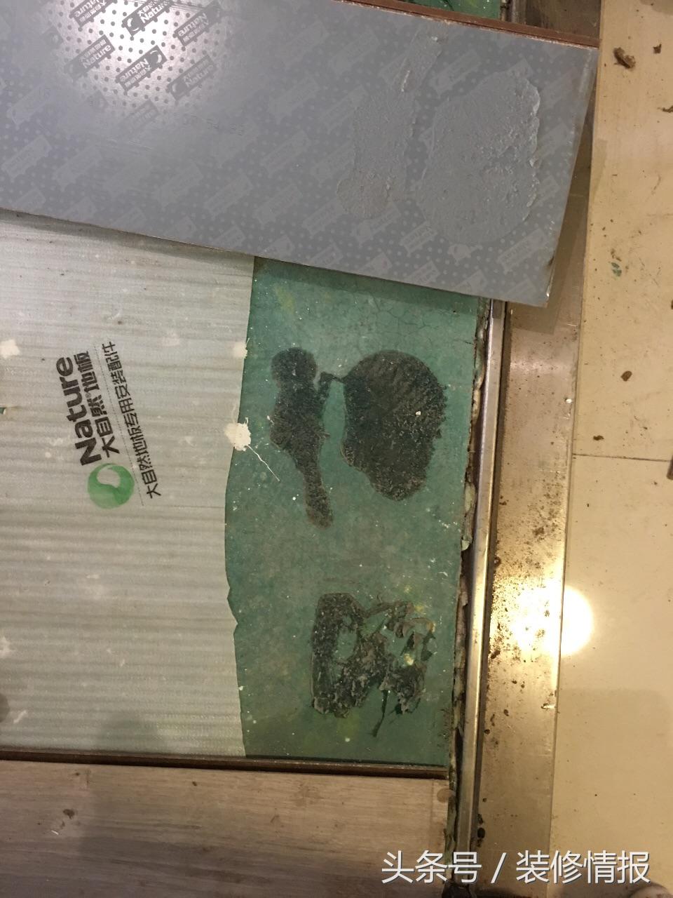 装修地板小知识,大自然地板关注事项