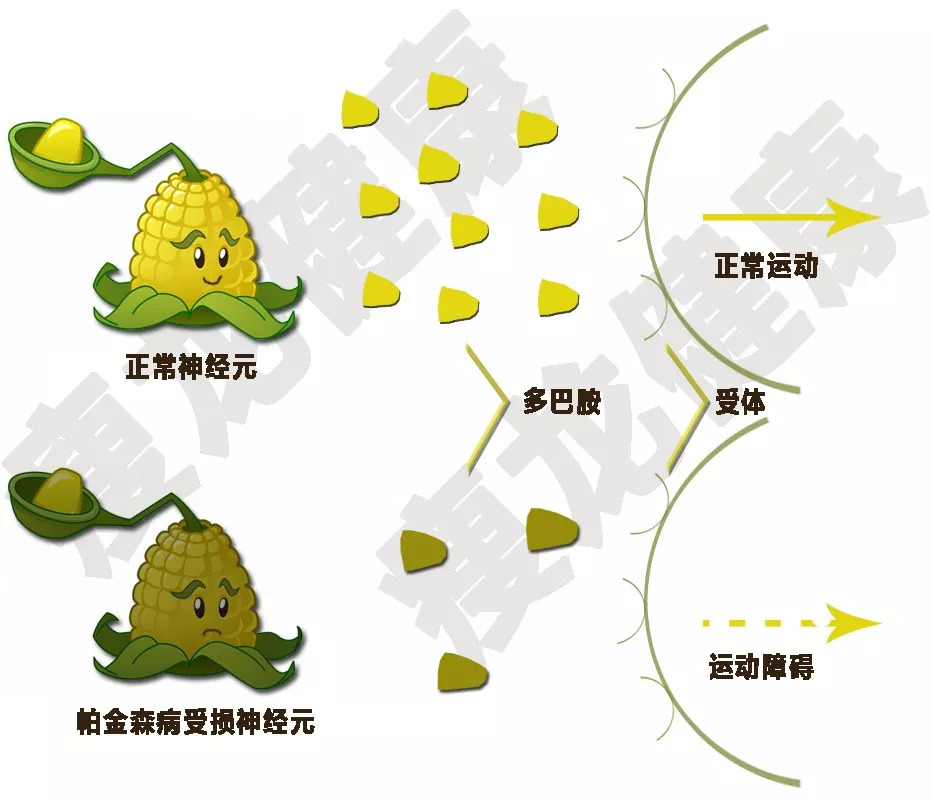 手抖记忆力减退语言功能退化,20岁记忆力降落手抖