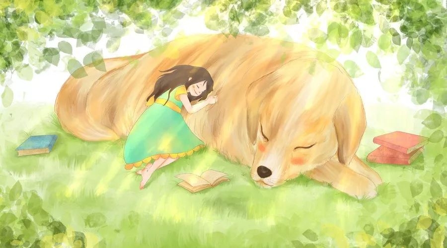 孩子被狗咬了家里的狗怎么处理,孩子不慎被狗咬伤