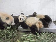 如何用电脑批量导入通讯录,苹果怎么批量导入通讯录