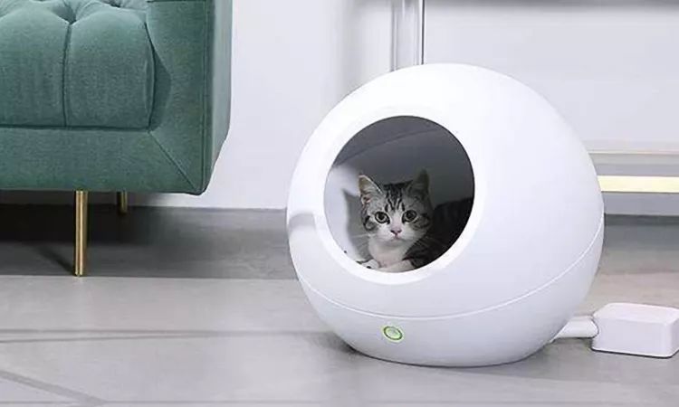 床上有螨虫身上痒用什么药来洗,身上痒可能床上有螨虫怎么解决啊