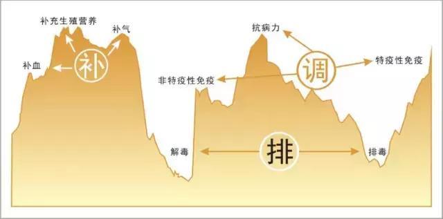 养殖繁育牛怎么挣钱,养殖母牛技术与治疗