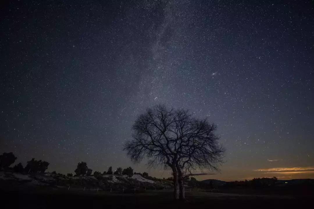 腾龙17-50f2.8镜头,16-55mmf2.8腾龙