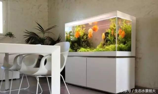 鱼缸加温有几种方法,鱼缸正确加温方法