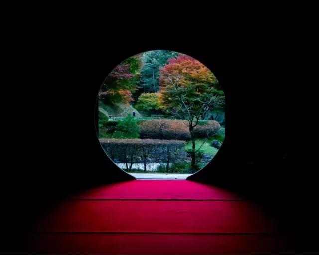 视角丨「*坐静**在岁月的窗前」日本镰仓明月院