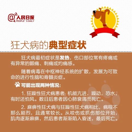 6岁小孩被狗咬13天后狂犬病发作,6岁小孩被狗咬了打狂犬疫苗