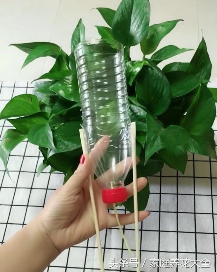 做浇花的小手工,水循环浇花手工制作