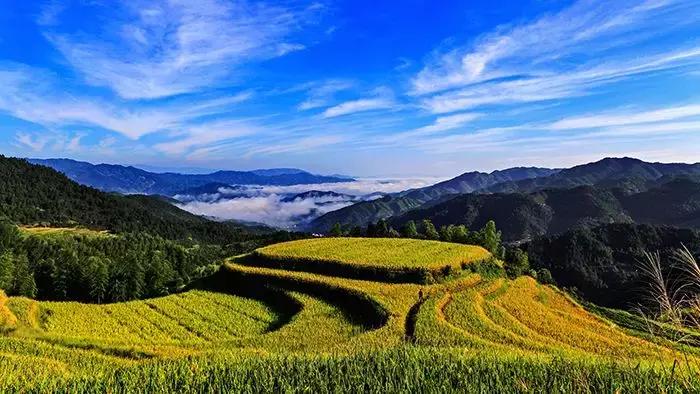 国庆你准备到哪里去的,国庆到了你会去哪