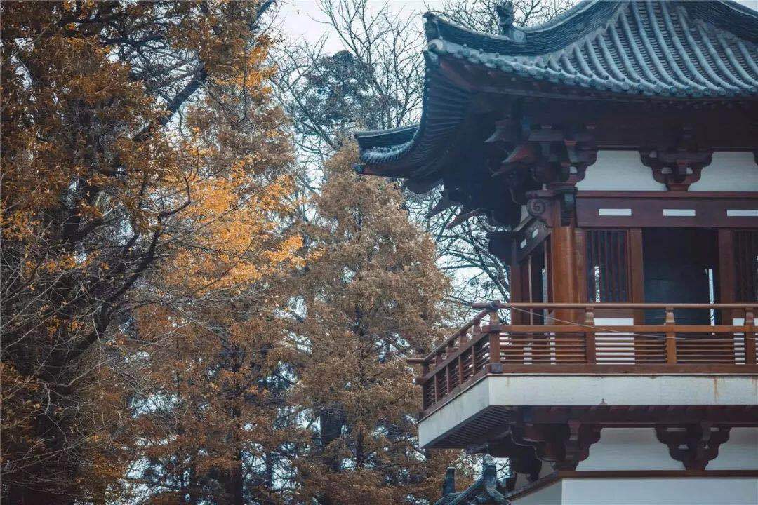 杭州免费酒店,杭州免费住宿一个月