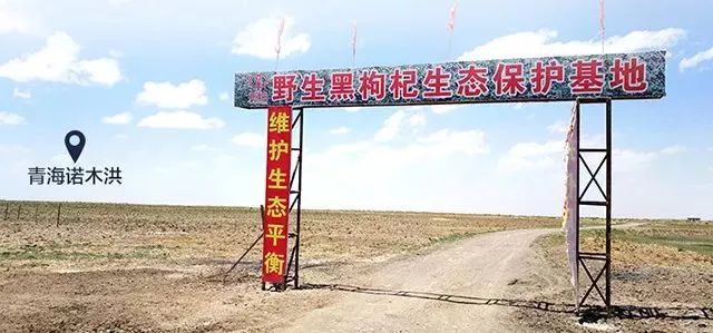 比红枸杞更养生，一天5粒胜过100片面膜，99%的人都忽略了
