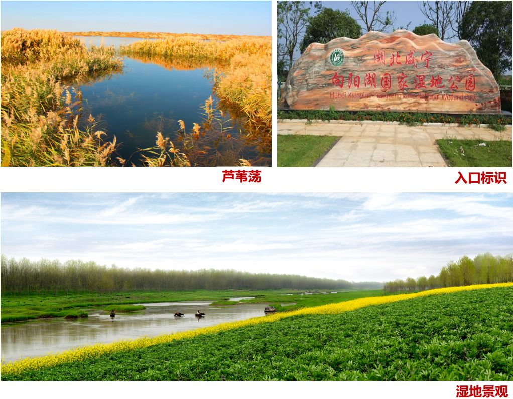 婀栧寳鍑嗗寤哄叏鍥芥渶澶х殑鍐涚敤鏈哄満,婀栧寳鏈哄満瑙勫垝2015-2030