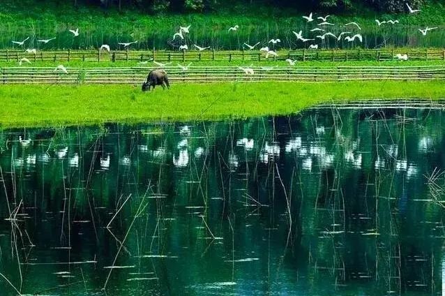 婀栧寳鍑嗗寤哄叏鍥芥渶澶х殑鍐涚敤鏈哄満,婀栧寳鏈哄満瑙勫垝2015-2030