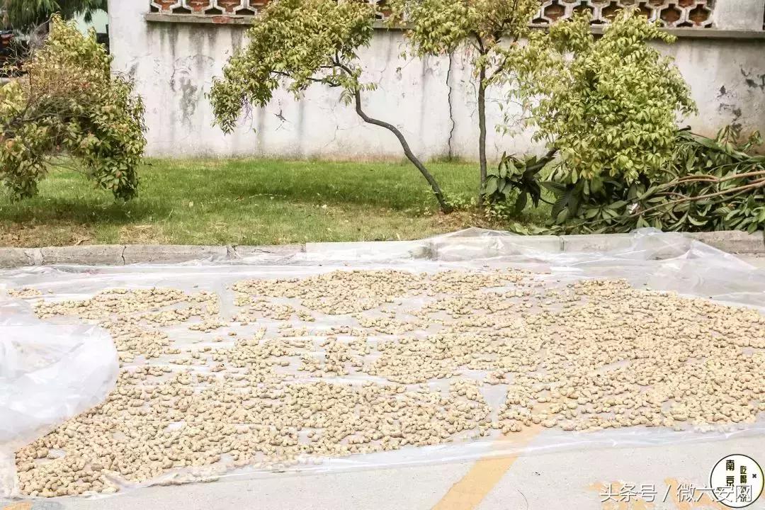 南京梅山属于上海吗,南京的梅山在什么位置