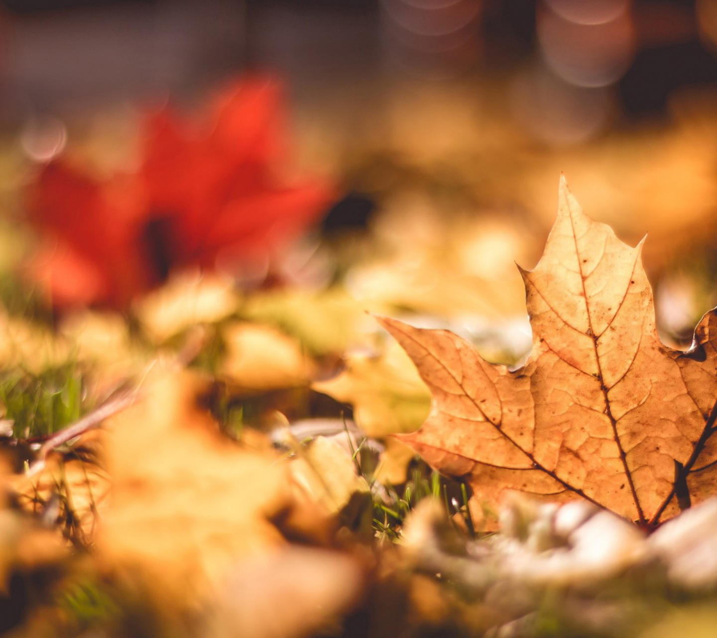 没钱时我们应该怎么办,没有钱咋办呀