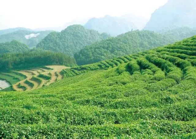 成都周边9个最受追捧的古镇！周末带孩子感受这里的古韵！