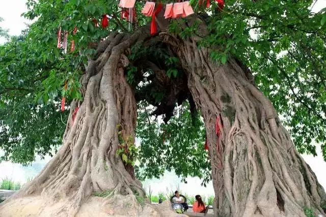 成都周边9个最受追捧的古镇！周末带孩子感受这里的古韵！