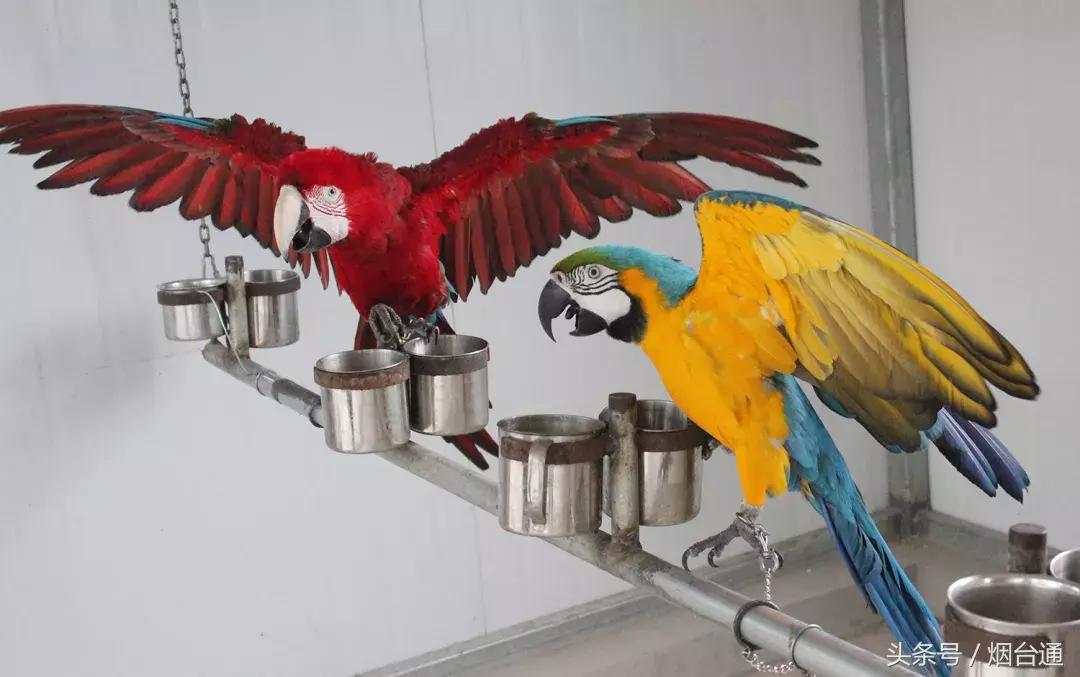 烟台十一景区免费游玩,十一假期旅游推荐烟台游乐场