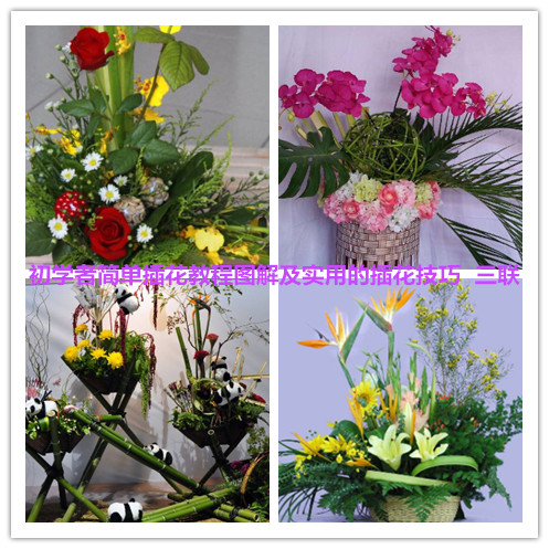 插花初学者马蹄莲插花指南,插花教程新手入门简单