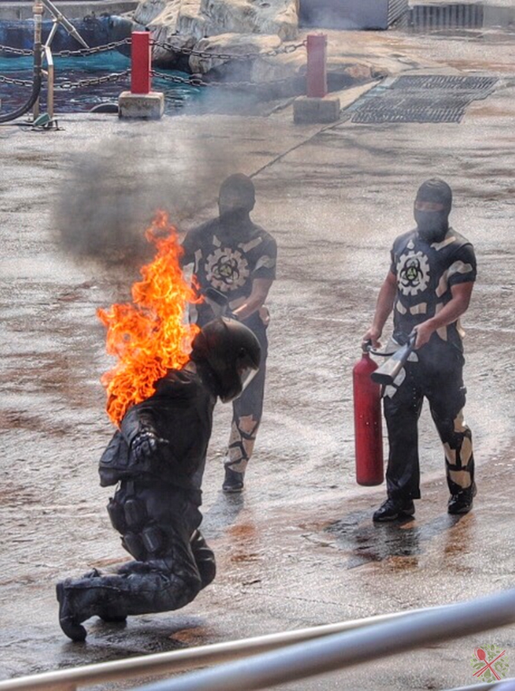 去广州长隆不住景区攻略,春节广州长隆不住园区怎么玩