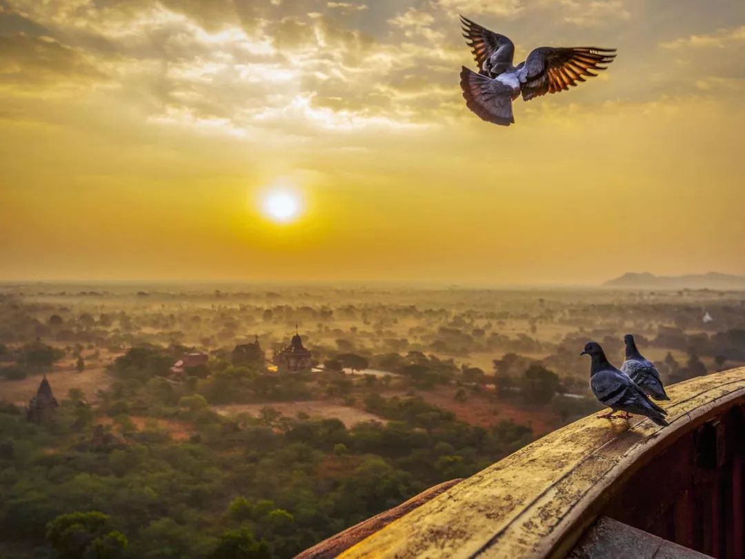 旅行达人排行榜100名,旅行推荐达人视频