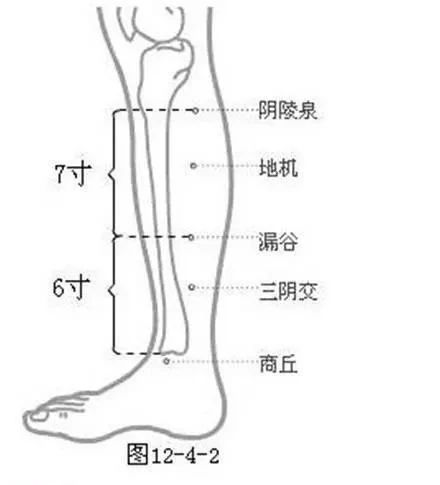 100个常见病穴图解,50个常见病按摩手法