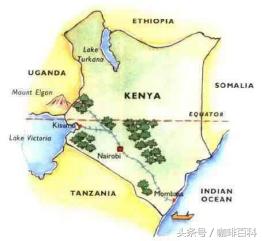 小白去咖啡店怎么点咖啡,小白怎样去操作咖啡店