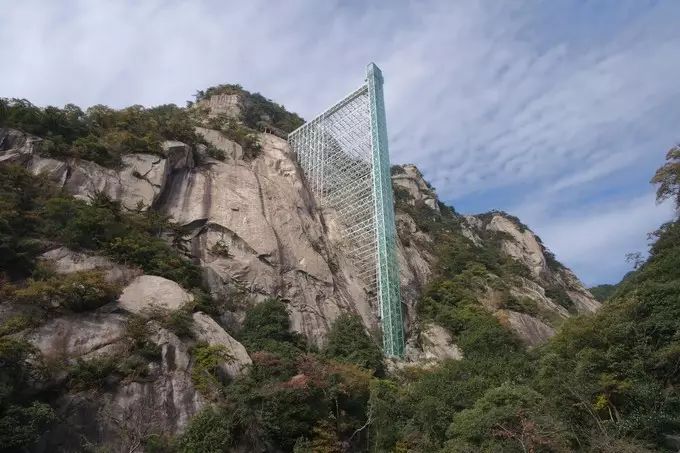 适合带着去旅行的宠物,宠物旅行攻略如何带宠物出门旅游