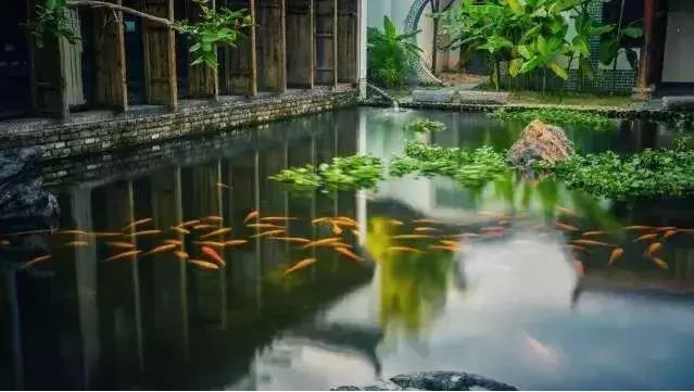 婺源好看的民宿,婺源民宿十佳排名婺源流苏小筑