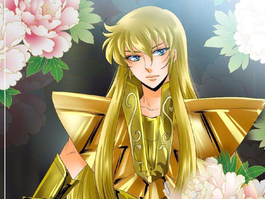 圣斗士沙加多少集,圣斗士教皇厅