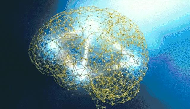 犹太人的智慧和教育方法,犹太人的早教