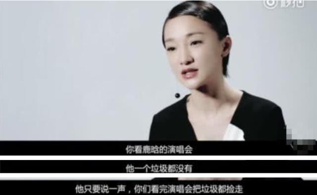 鹿晗17年跨年演唱会,鹿晗17年晚会