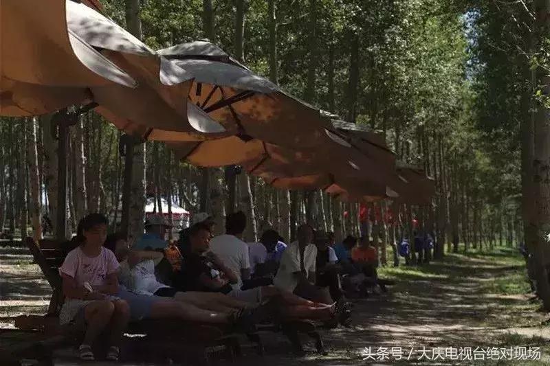 大庆这个城市未来会有发展吗,大庆哪个县发展潜力大