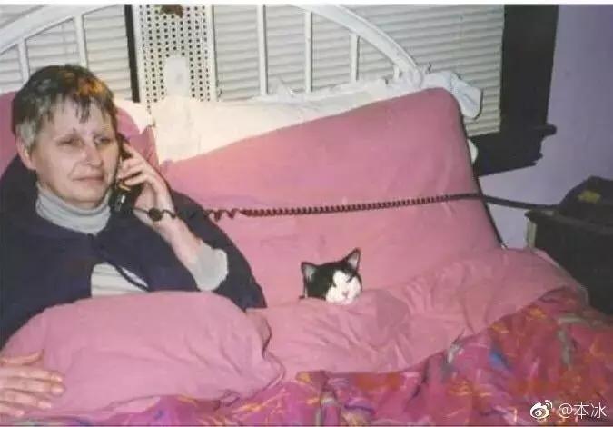 听菠萝的话：有了这些，十一不用出门了