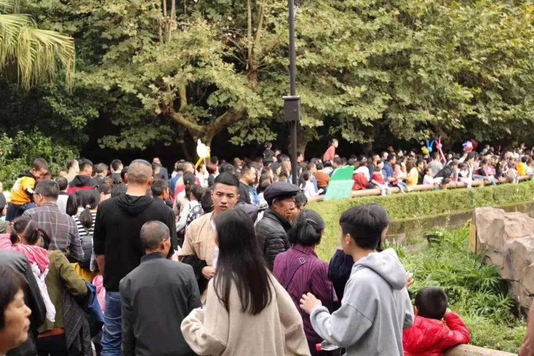 成华头条｜耍、买、吃……这份黄金周账单已为你呈上！