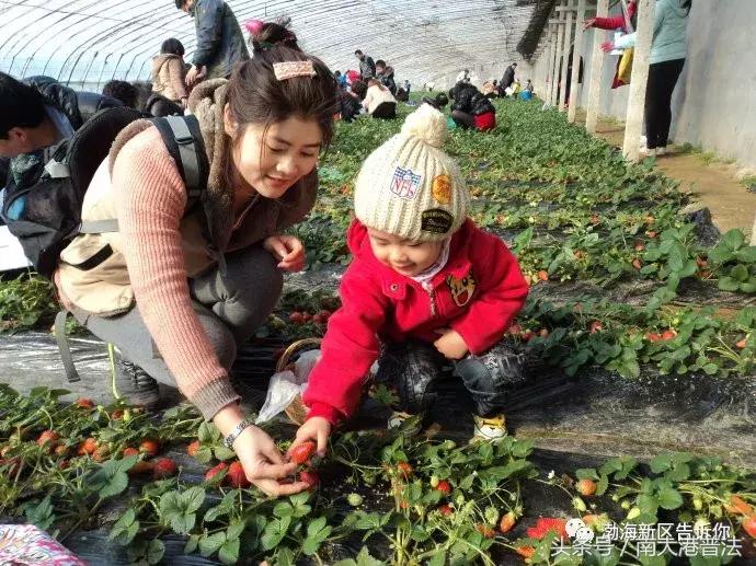 全域旅游河北,沧州渤海新区旅游免费海边